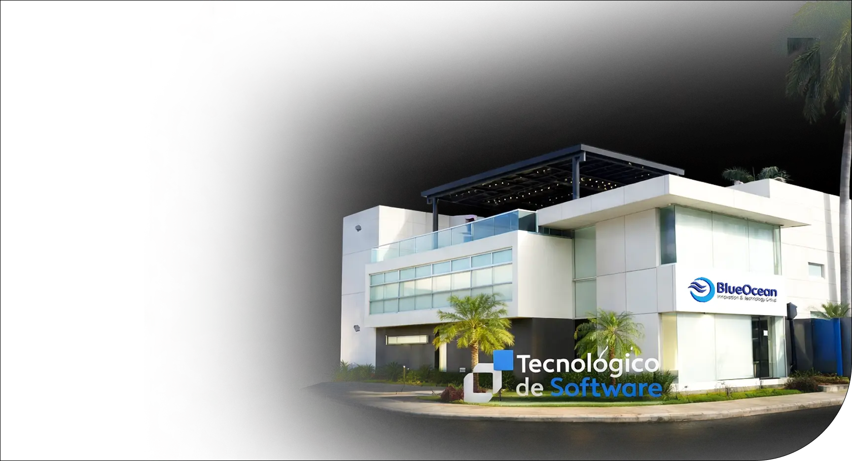 MayanSoft digital transformation